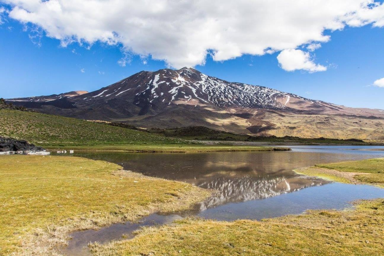 Cabanas La Lila Huinganco Dış mekan fotoğraf