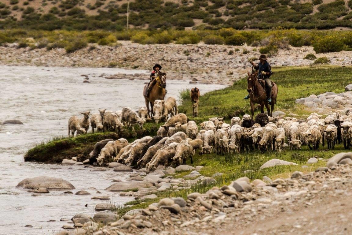 Cabanas La Lila Huinganco Dış mekan fotoğraf